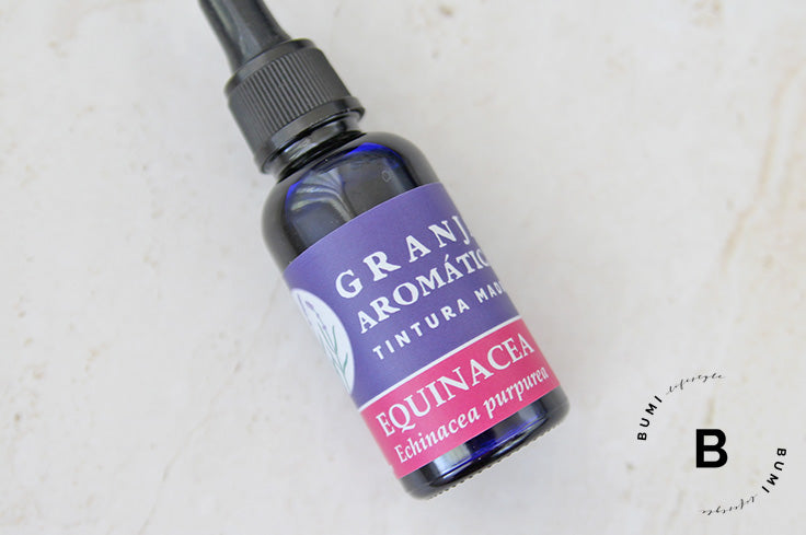 Tintura madre de Equinácea (Echinacea purpurea) 30ml