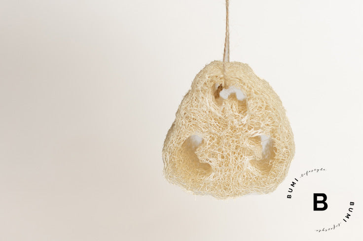 Trozo de Luffa