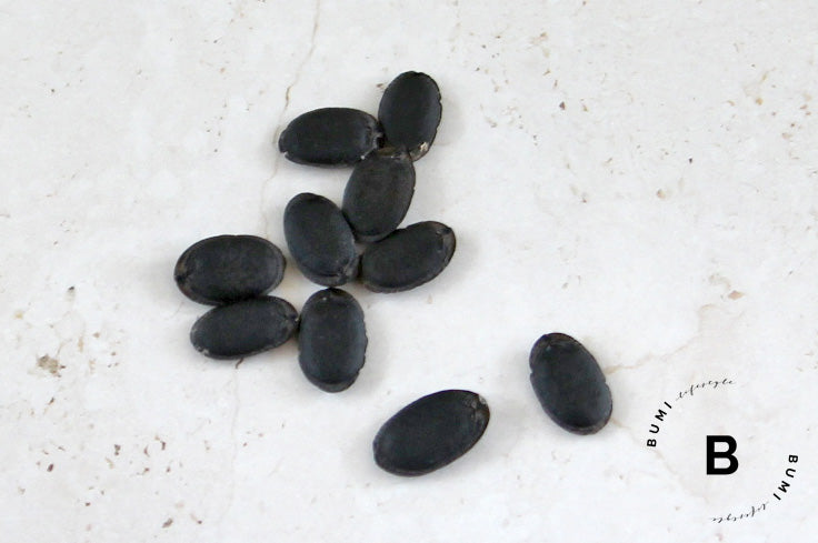 Semillas de Luffa