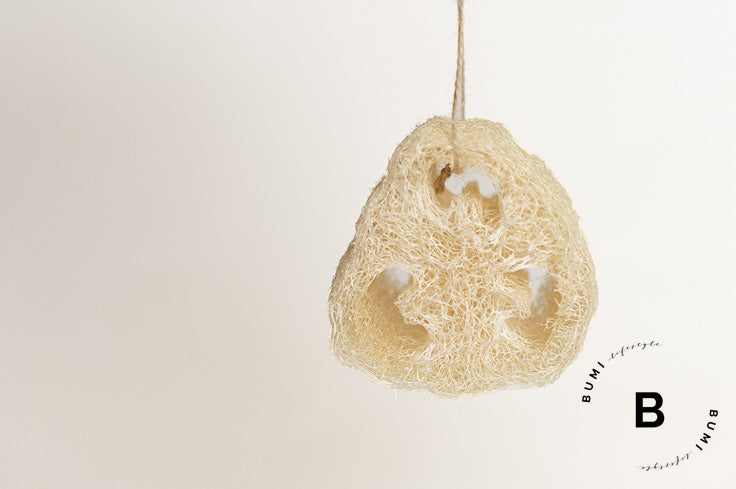 Trozo de Luffa